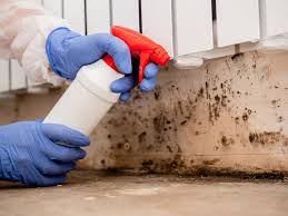 Mold Remediation for Vacation Homes in Capitol Heights, MD